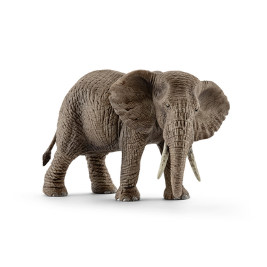 Image of SCHLEICH Femmina di Elefante africano 14761059