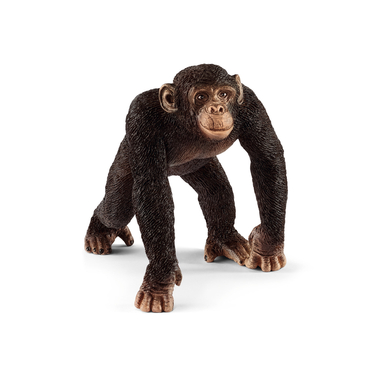 Schleich Figurine chimpanzé mâle 14817