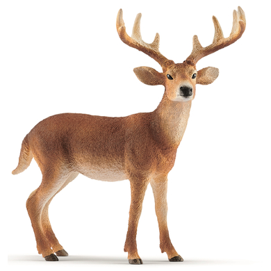 Schleich Figurine cerf de Virginie 14818