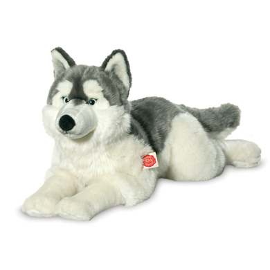 Teddy HERMANN ® Husky sdraiato 60 cm