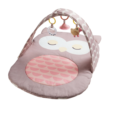 Hape Babygym Uggla Sina