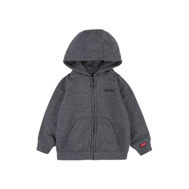 Image of Levi's® Felpa con cappuccio grigio059