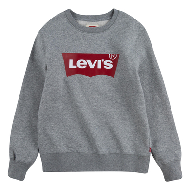 Levi's® Kids Sweatshirt gris