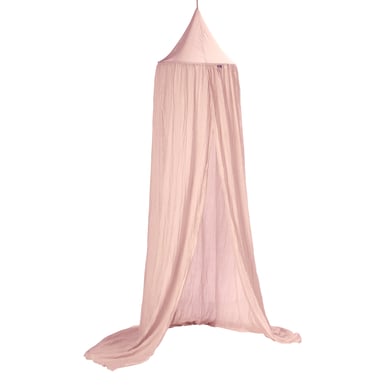 Image of Alvi ® Canopy rosé059