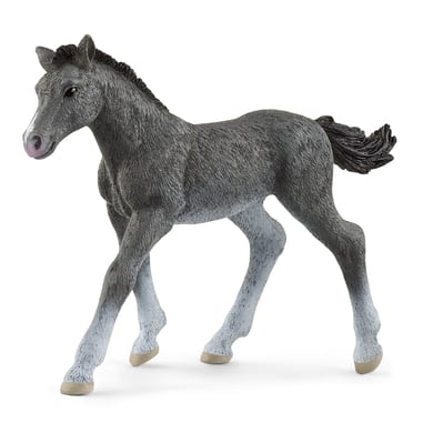Schleich Trakehner föl, 13944
