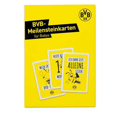 BVB Meilensteinkarten 20550300