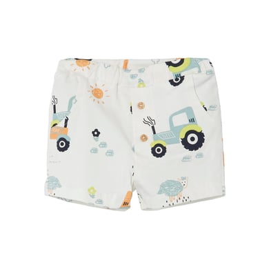 Image of name it Shorts Nbmhefal bianco Alyssum059