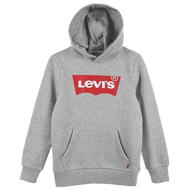 Image of Levi's® Felpa con cappuccio, grigio chiaro