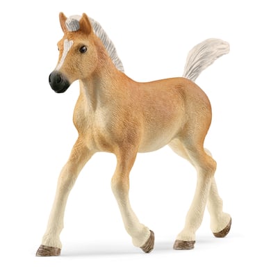 schleich ® Puledro Haflinger 13951