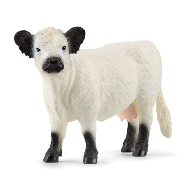 Image of schleich ® Galloway mucca 13960059