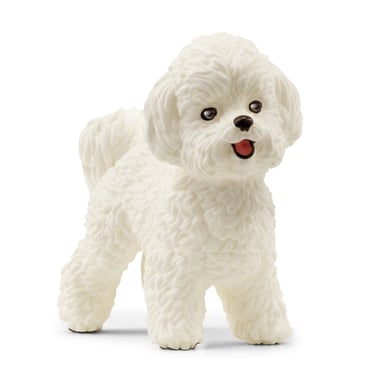 Image of schleich ® Bichon Frisé 13963059