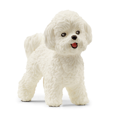 schleich® Figurine bichon frisé 13963
