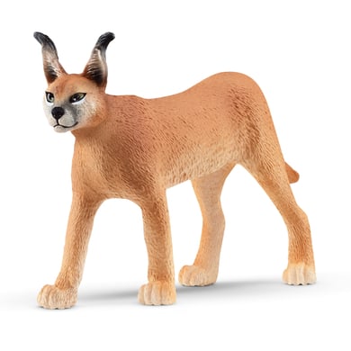 schleich ® Caracal femmina 14867