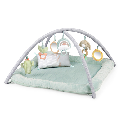 Ingenuity Premium Plush Babygym