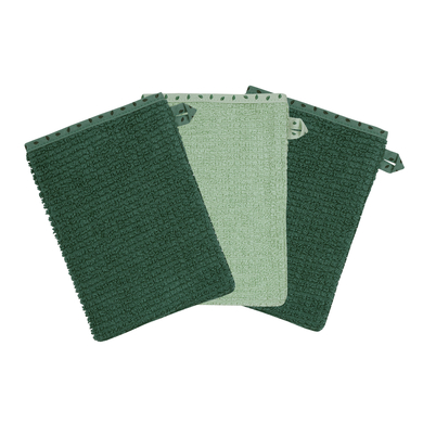 WÖRNER SÜDFROTTIER Gant de toilette enfant At home vert 15x21 cm lot de 3