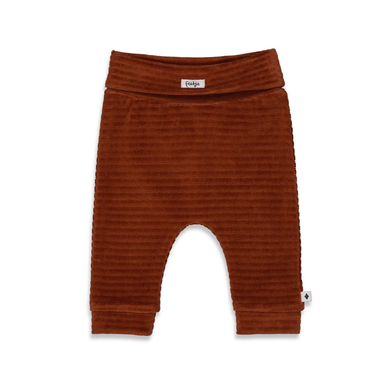 Feetje Pantalon à enfiler Magic Bruin