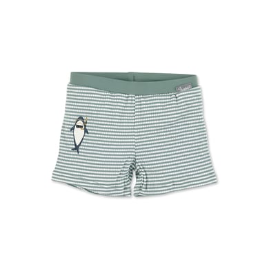 Image of Sterntaler Bagno shorts Squalo verde scuro059