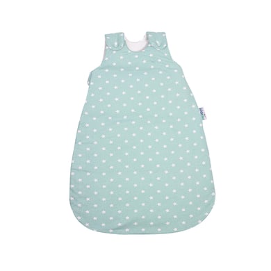 pic Bear Gigoteuse étoiles citadel TOG 2.5