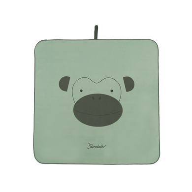 Sterntaler Serviette de bain enfant Albert microfibre vert 80x80 cm