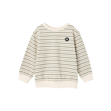 name it Felpa Nmmvifelix Salvia essiccata