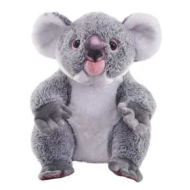 Wild Republic Peluche koala Artist, 38 cm