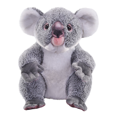 Levně Wild Republic PlyĹˇovĂˇ hraÄŤka Artist Koala, 38 cm