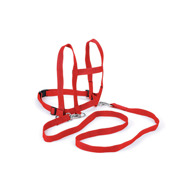 BLS Laufleine Nylon – rot 675-14