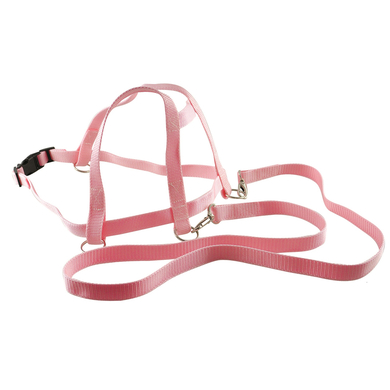 BLS Laufleine Nylon – rosa 675-23