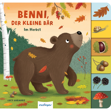 Thienemann-Esslinger Mein erstes Jahreszeitenbuch: Benni, der kleine Bär
