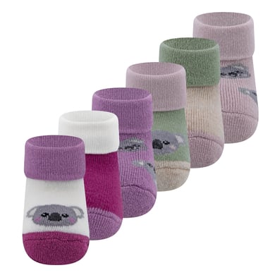 Ewers Lot de 6 chaussettes pour bébé Koala