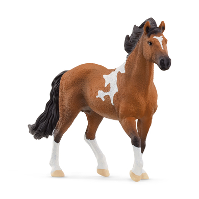 schleich® Figurine étalon Mangalarga marchador 13978