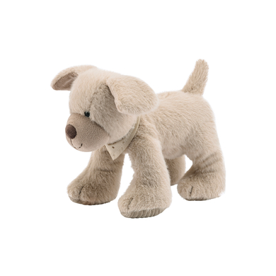 Image of Sterntaler Cane di peluche M Lucky059