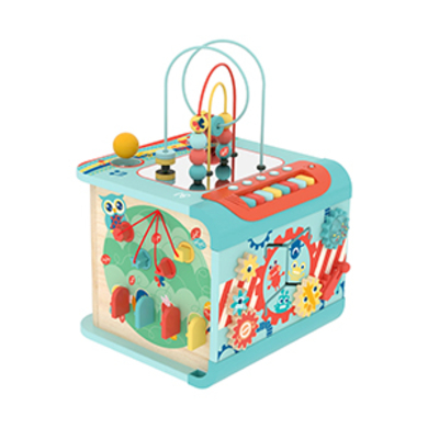 Hape Cube magique de motricité