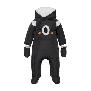 Minoti Nieve de la cordillera del Koala en general