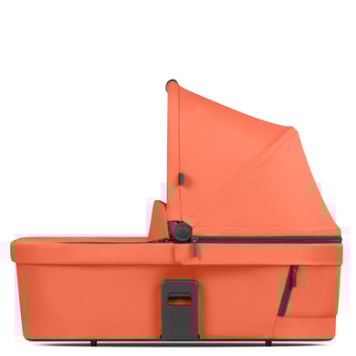 ABC DESIGN Carrot bärsele kollektion 2024