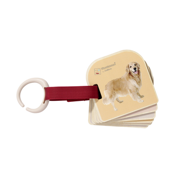 Eichhorn Libro illustrato Montessori