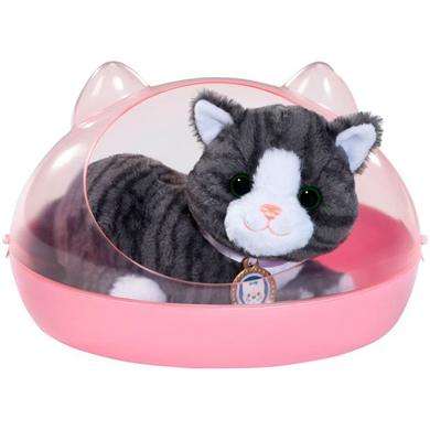 Zapf Creation BABY born® Min katt Cookie med låda