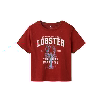 name it T-shirt Nmmfabi Röd ockra