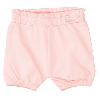 Staccato Shorts sorbet