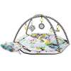 Kinderkraft Tapis d'éveil arches Smartplay multicolore