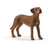 Schleich Rhodesian Ridgeback 13895


