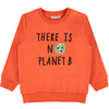 name it Boys Sweatshirt NMMLAPLANET Tigerlily