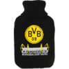 BVB  Termofor