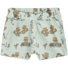 name it Shorts Nbmdann-glaciären