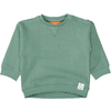 Staccato Sweatshirt pale green