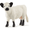 schleich® Figurine vache Galloway 13960