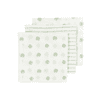 MEYCO Gaasluiers 3-Pack Dot Stripe Soft Green