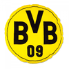 BVB kussen rond