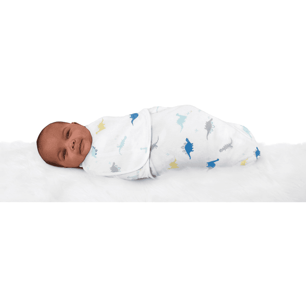 Aden and sales anais dinosaur swaddle