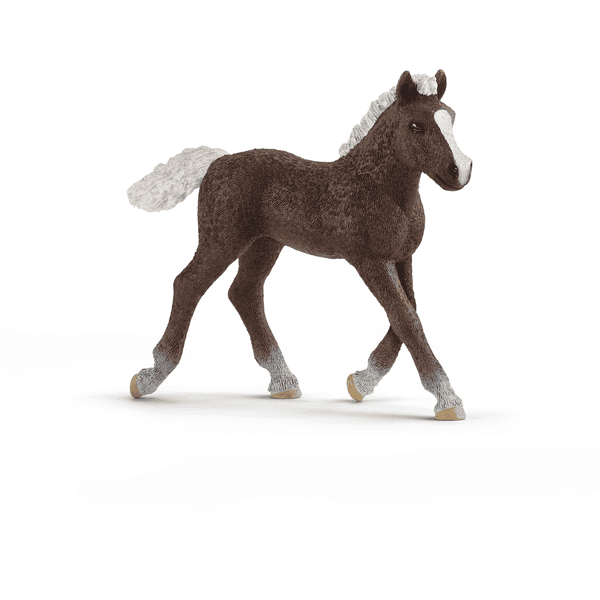 schleich® Schwarzwälder Fohlen 13899